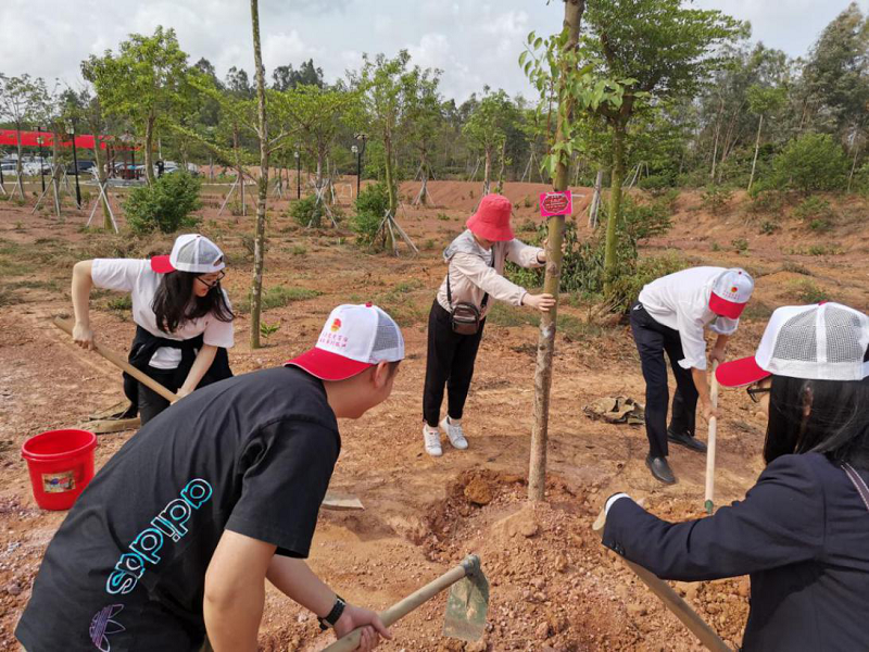 1616148842394558.png 圖片1.png