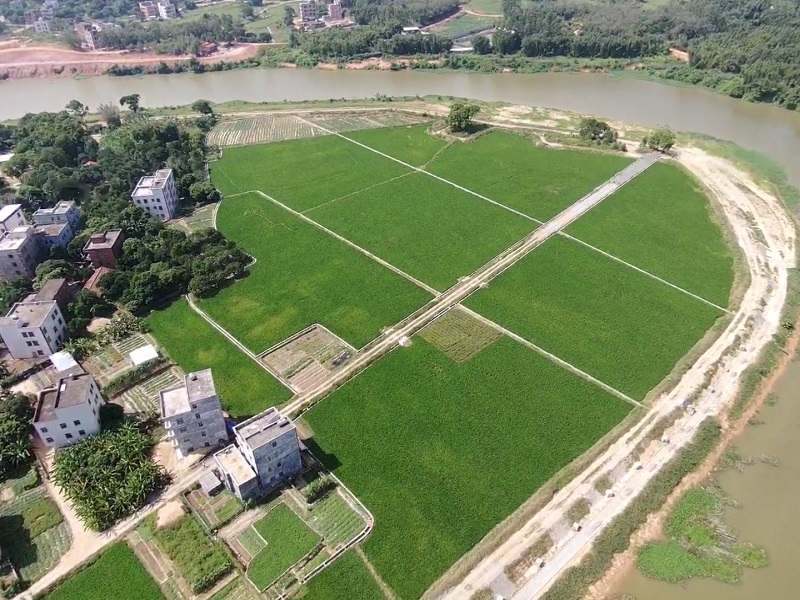 1657179139450887.jpg 水田地塊圖.jpg