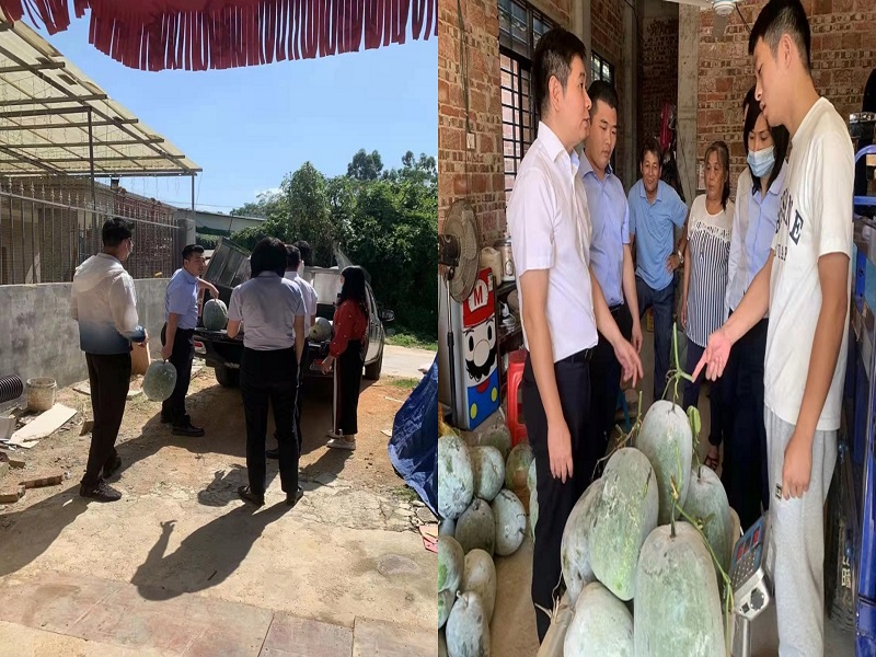 1666946064777283.jpg 742a74ca43da879bcc17770966713d2.jpg